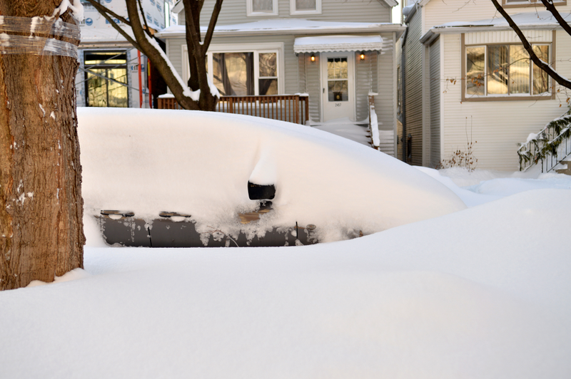 Illustration for article titled Chiberia Rising, in Pictures: Man, Last Night's Blizzard Sure Did Suck